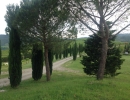  viale d'ingresso al Relais