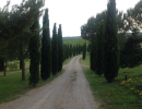  viale d'ingresso al Relais